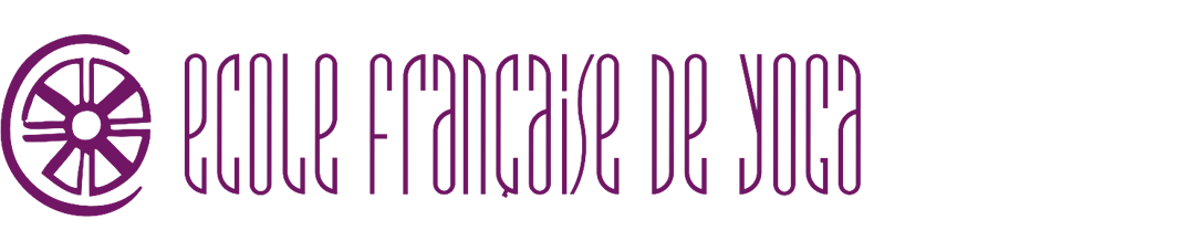 logo_efy_full_dark